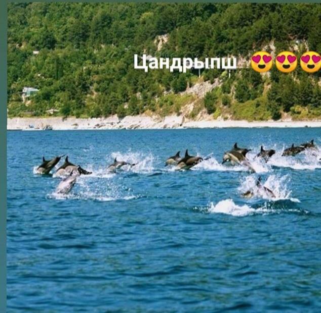 Comfort Gantiadi Dış mekan fotoğraf